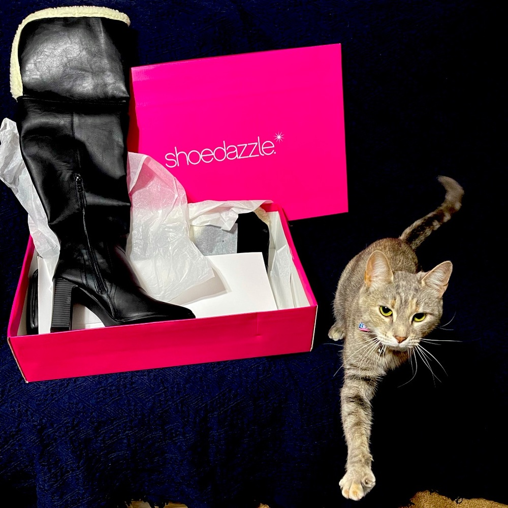 Brand new heeled boots shoe dazzle